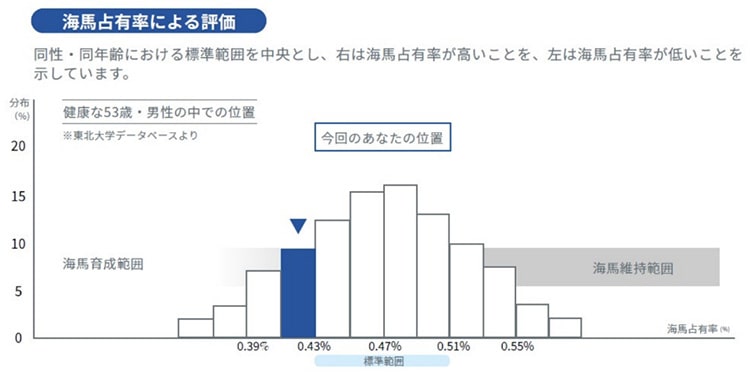 レポートの例